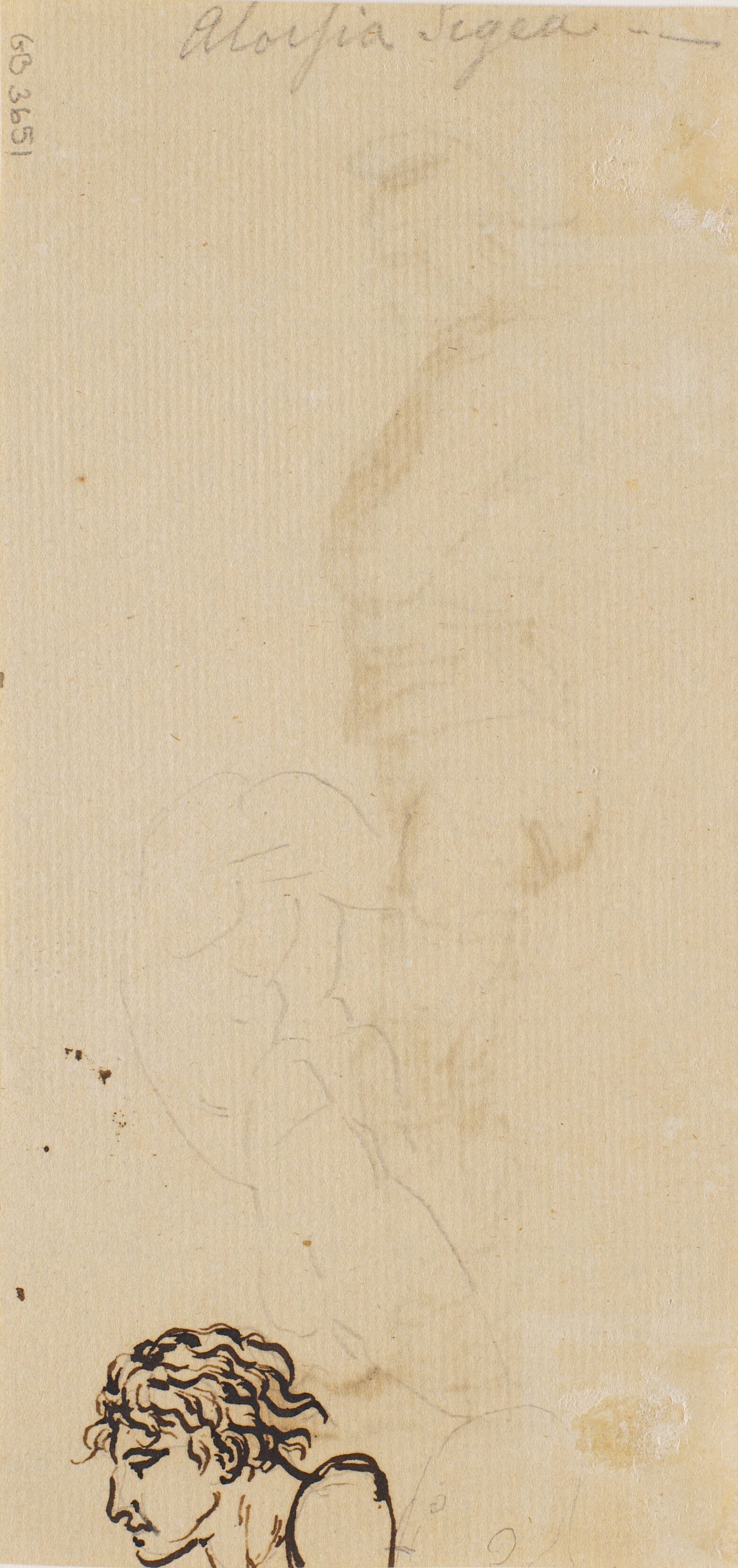 Mandshoved i profil samt ubetydelige figurrids